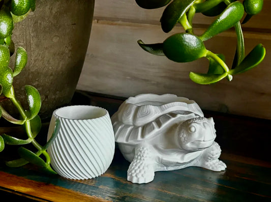 Turtle Planter