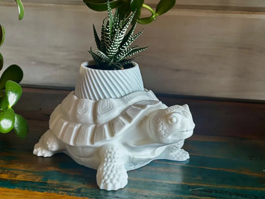Turtle Planter