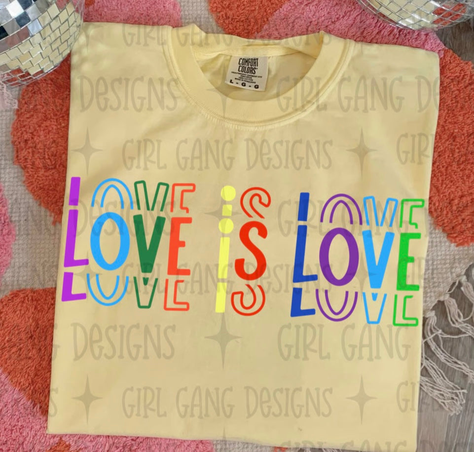 Love is Love Echo
