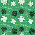 Paddy Starter Seamless