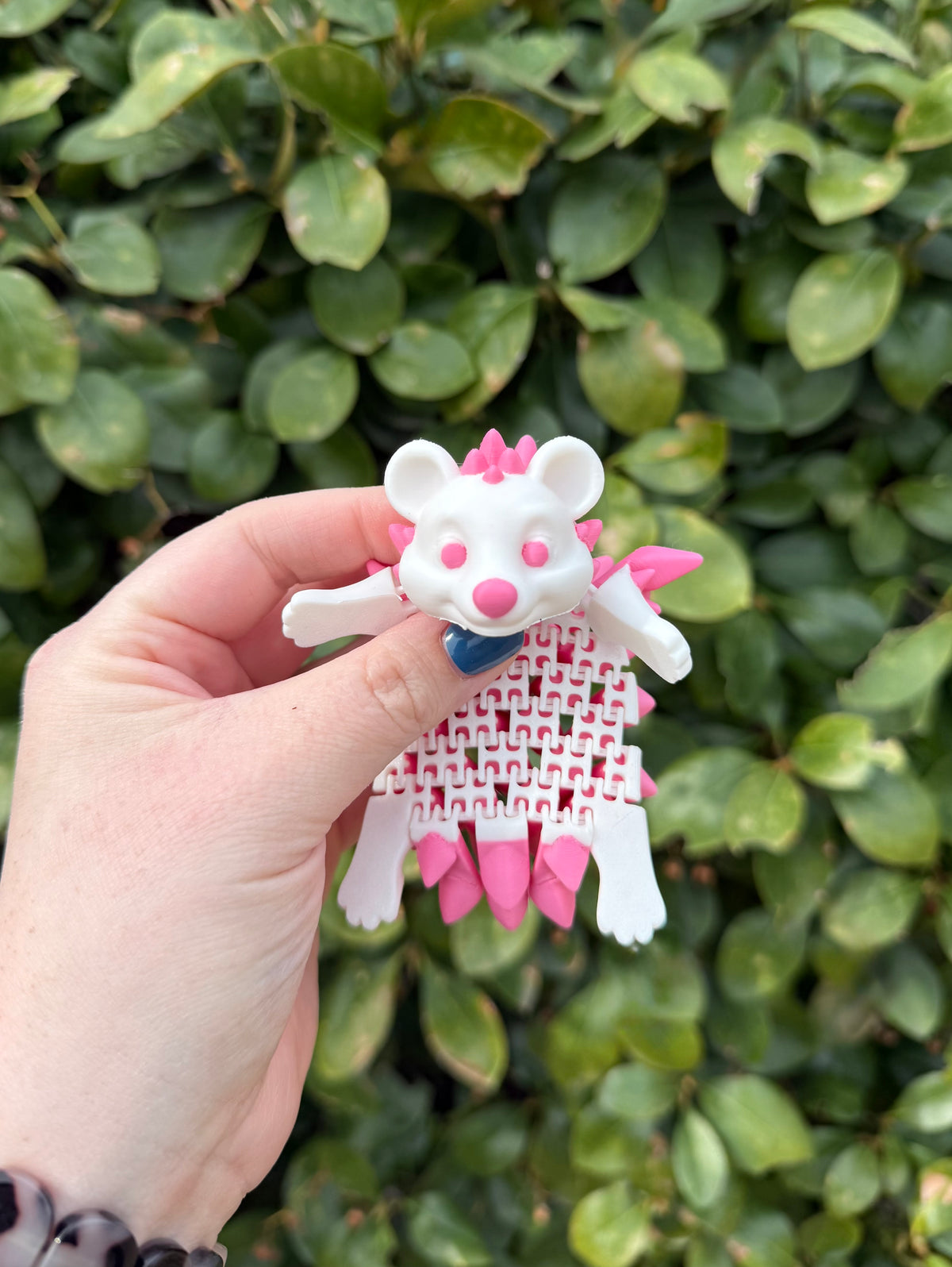 Articulating Hedgehog